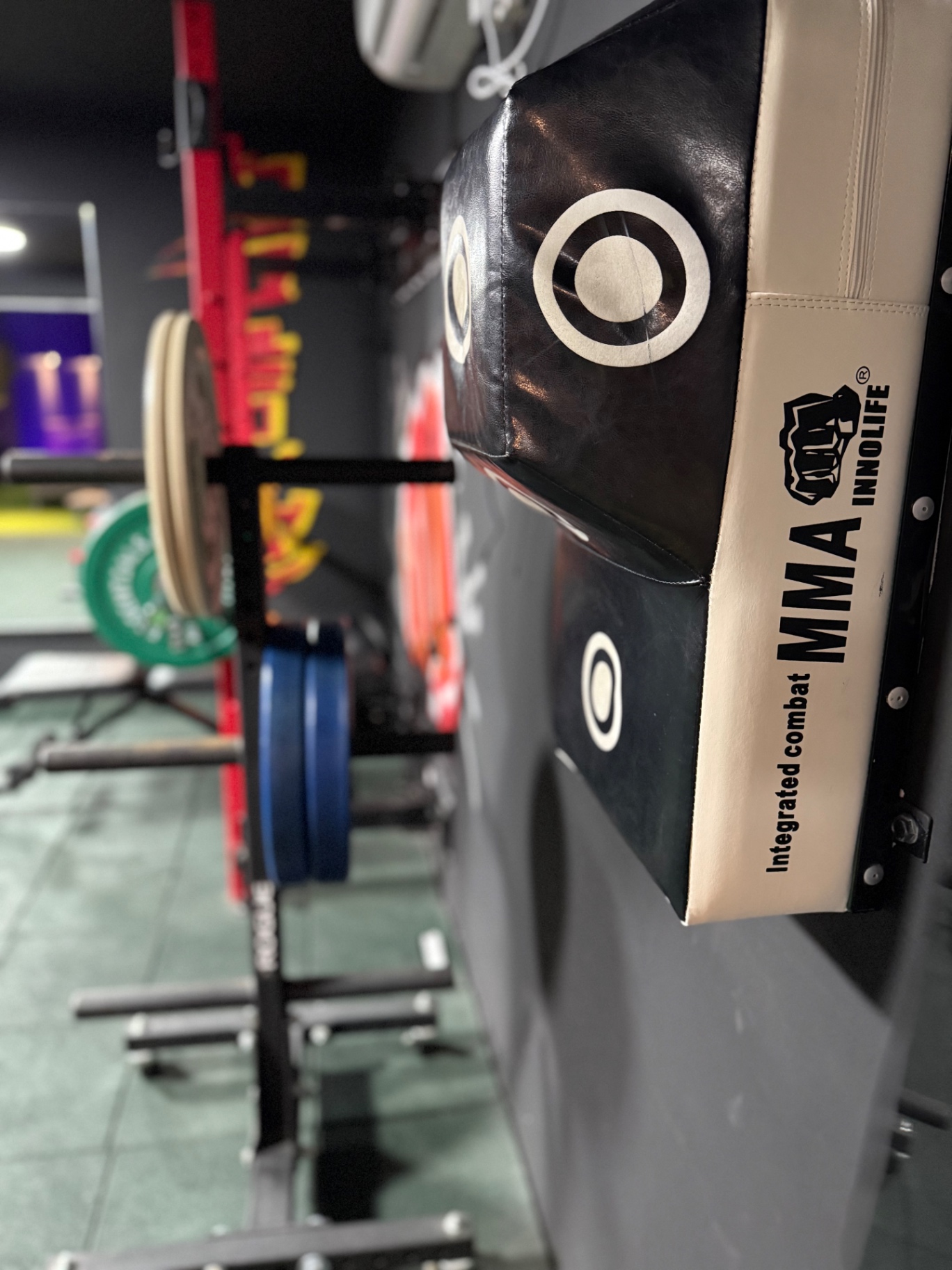 Combat training pad with squat rack