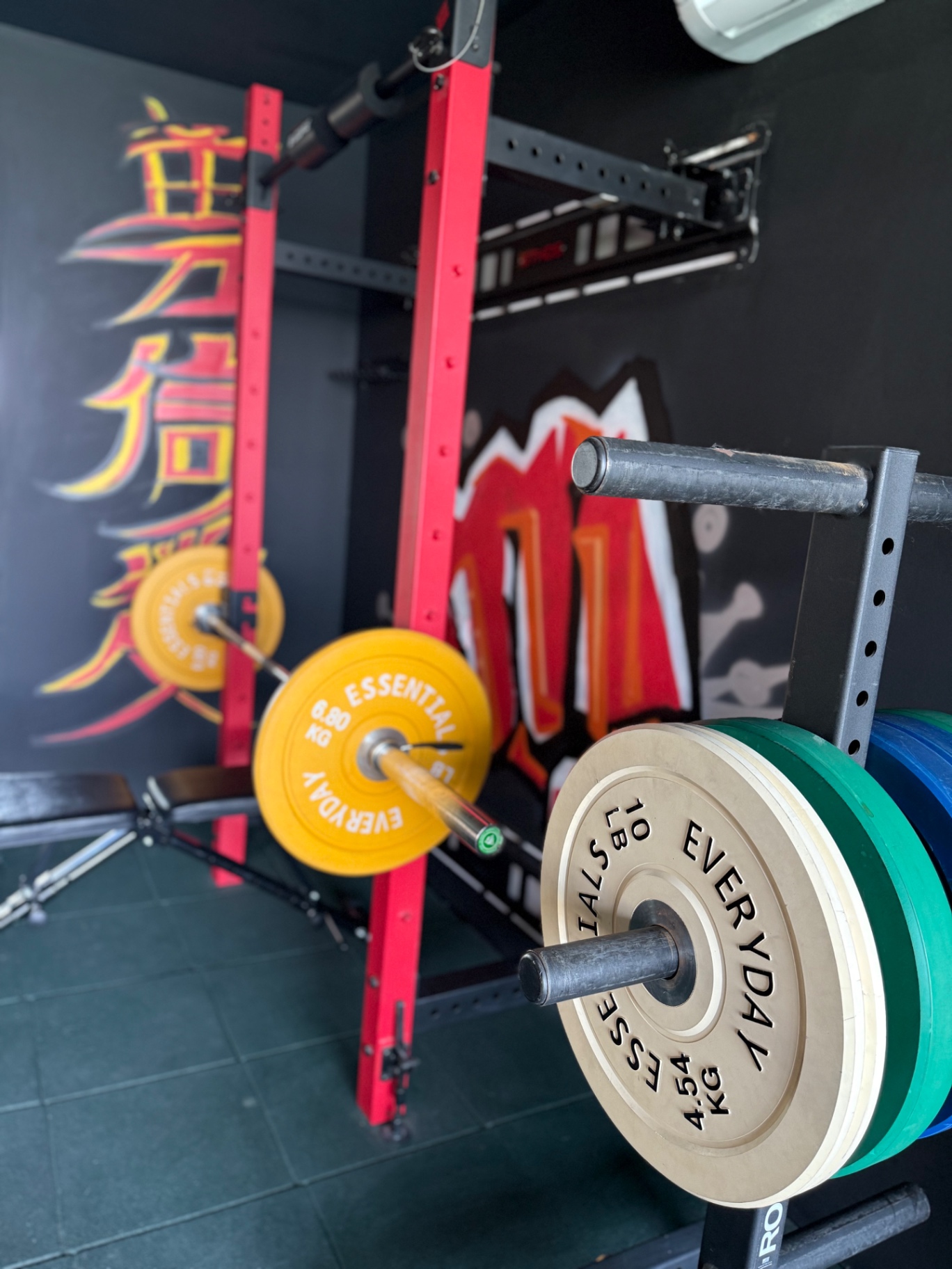 Power rack with Olympic plates