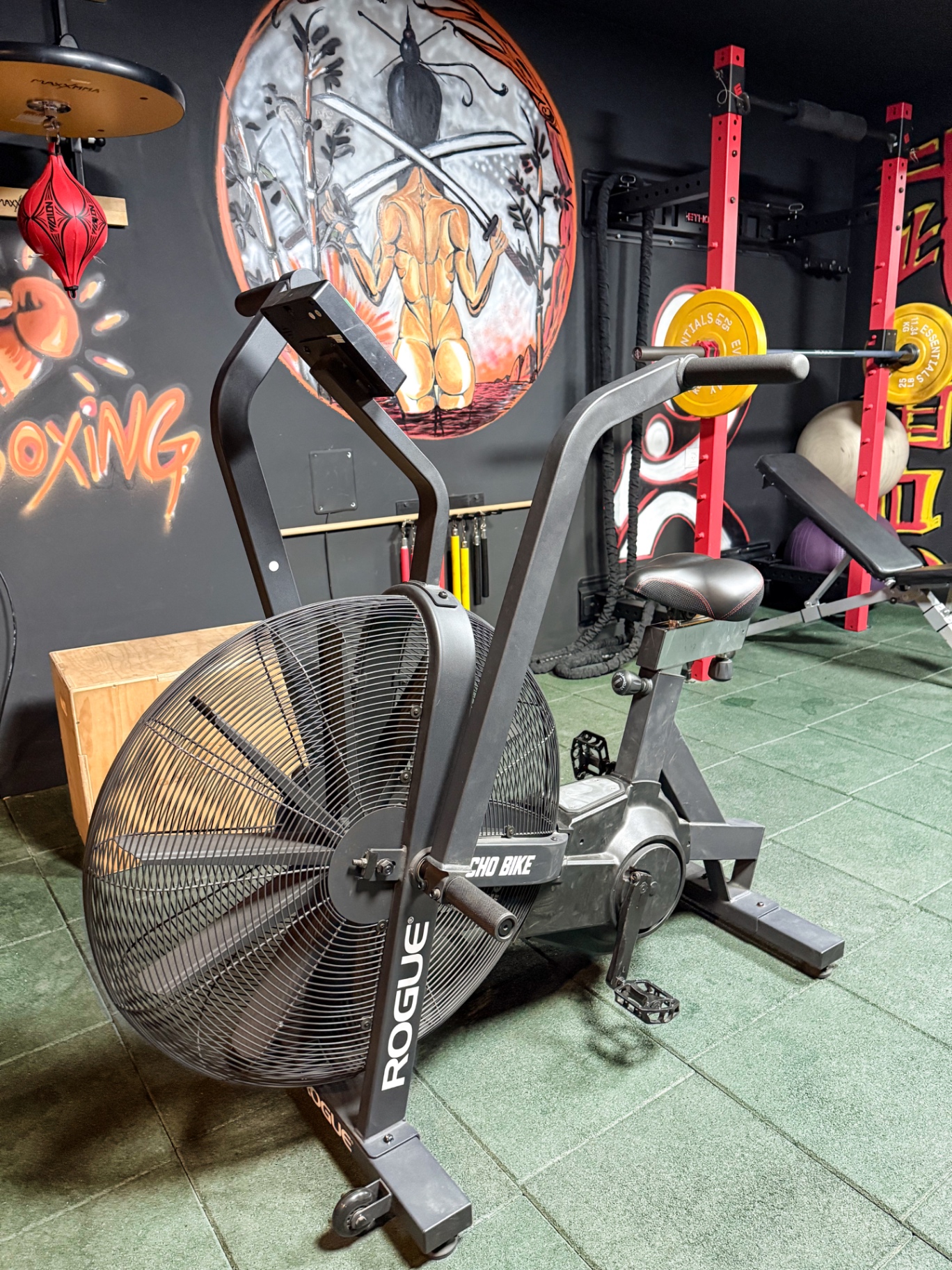 Air bike in front of boxing mural
